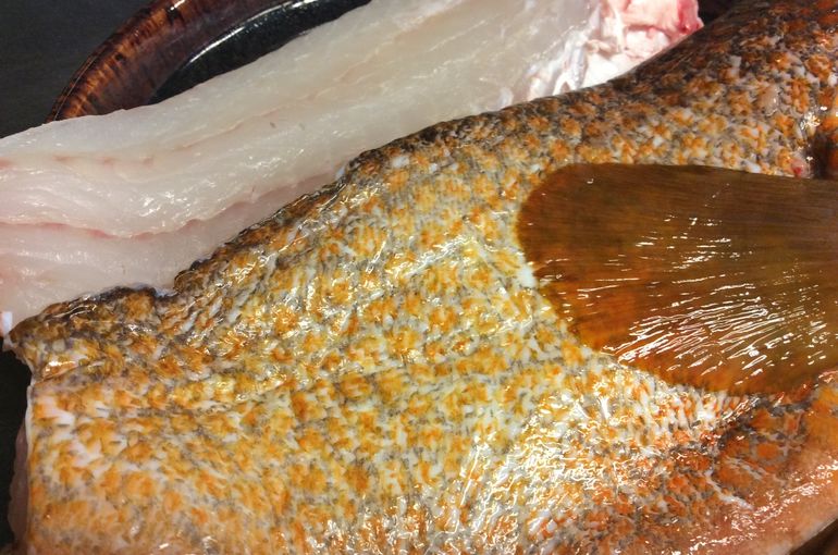 名古屋で高級魚のあずきますの刺身がお値打ちに食べれる居酒屋 伏見駅の近くで旬の魚をご提供する魚料理店 いっちょらいのブログです