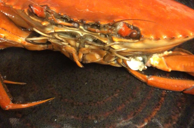 名古屋伏見で美味しい幻のどうまん蟹が旨いお値打ち居酒屋駅すぐ