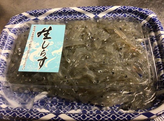 生しらす