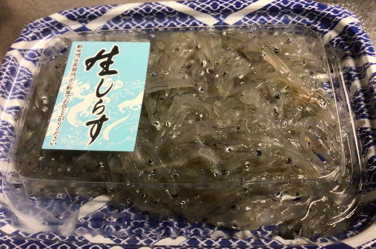 生しらす