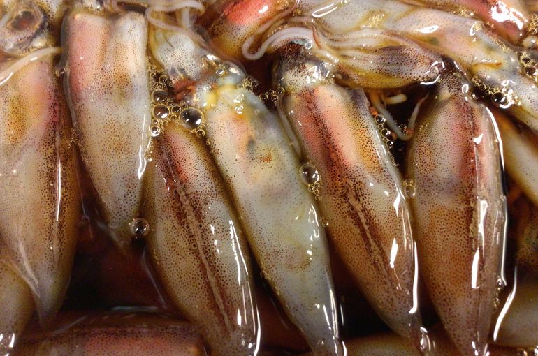 ホタルイカの沖漬け