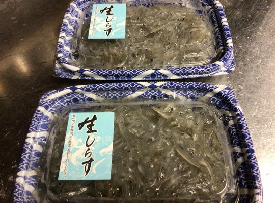 生しらす