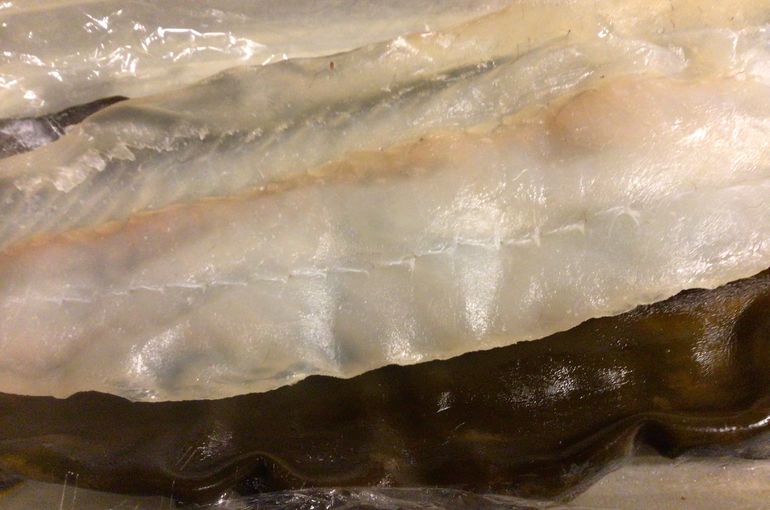 天然平目の昆布〆