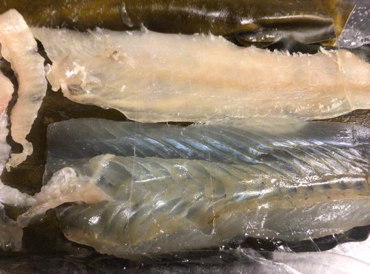 天然平目の昆布〆