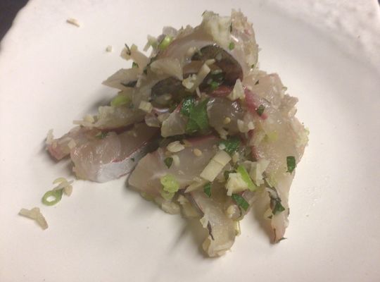 活あじのたたき