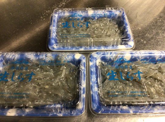 静岡県産生しらす