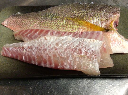くろほしふえ鯛の刺身