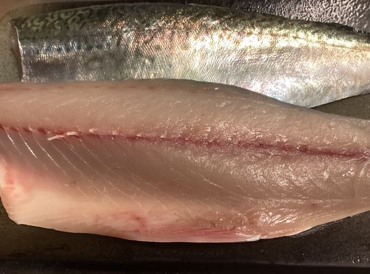 関さばの刺身