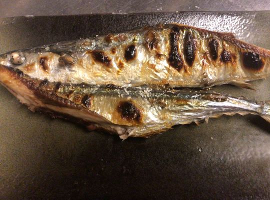 秋刀魚の塩焼き