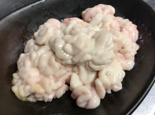 鱈の白子