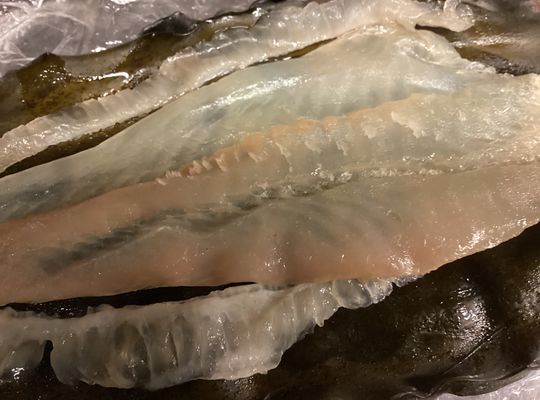 天然平目の昆布〆