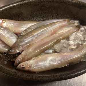 本物ししゃものフライ