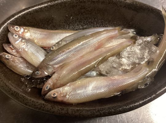 本物ししゃものフライ