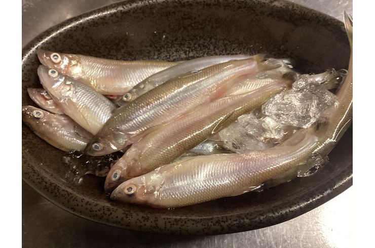 本物ししゃものフライ