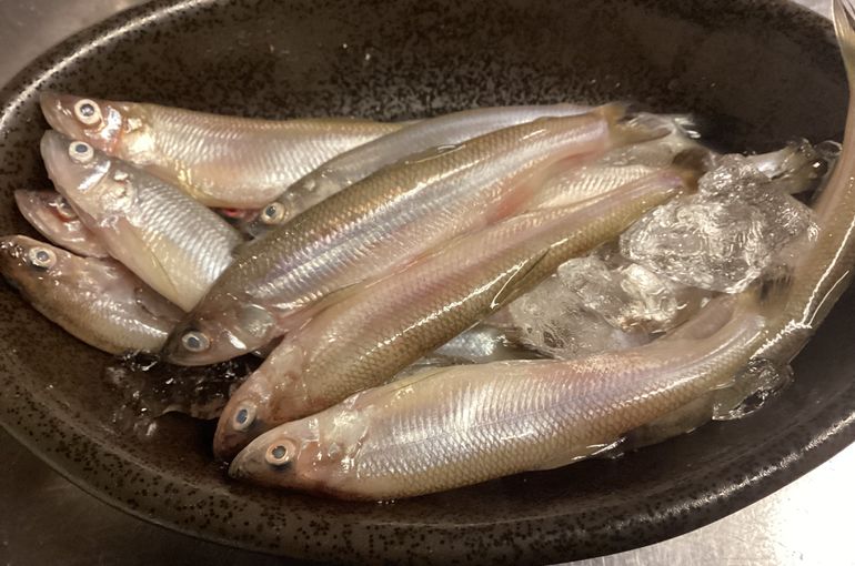 本物ししゃものフライ